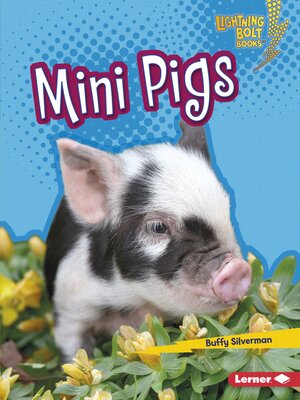 cover image of Mini Pigs